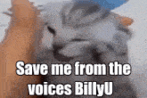 Save Me Cat GIF - Save Me Cat Voices GIFs