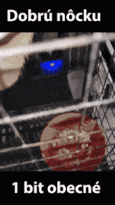 a picture of a dog in a cage with the words " dobru nocku " on the bottom