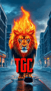 a painting of a lion with flames coming out of its mane and the word tgc written in red