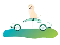 a sticker that says csak fifi ne legyen az auto with a dog in a car