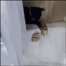 Cat Tub GIF