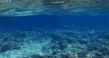 Sea Blue GIF - Sea Blue GIFs