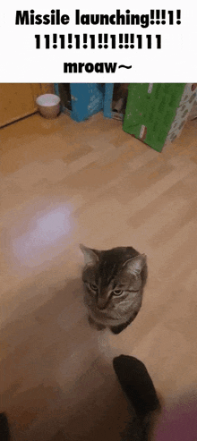 Missile Launch GIF - Missile Launch Cat GIFs