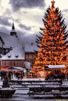 Snow Winter GIF - Snow Winter Christmas Tree GIFs