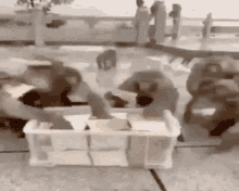 GIF