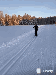 Stasik Ski GIF - Stasik Ski Fail GIFs