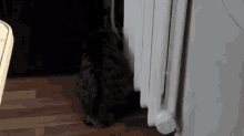 Finding That Warm Spot  GIF