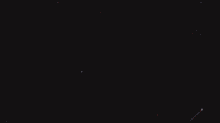 a red rose is on a black background with the words trey songs above it