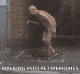 Dog Walk GIF - Dog Walk Elder GIFs