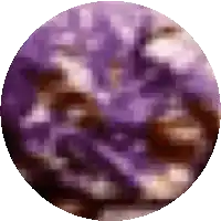 a pixelated image of a purple circle with a blurred background