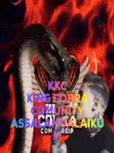 a picture of a man kissing a snake with the words king cobra community