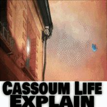 Cassoum GIF - Cassoum GIFs