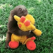Baby Sloth Hug GIF - Baby Sloth Hug Stuff Toy GIFs