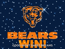 Chicago Bears GIF - Chicago Bears Chicago Bears GIFs