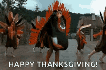 Turkey Thanksgiving GIF - Turkey Thanksgiving Dance GIFs