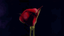 Blossoming Flower Silent Rival GIF - Blossoming Flower Silent Rival Whole Lotta Love Song GIFs