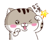 Ami Fat Cat Cute Sticker - Ami Fat Cat Cute Wink Stickers