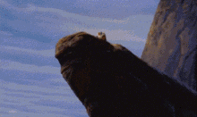 a squirrel is sitting on top of a rock .