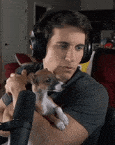 loganolio himbo luna puppy sniff loganolio himbo luna puppy sniff