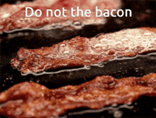 Bacon Do Not GIF - Bacon Do Not GIFs