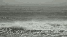 Storm Seagrass And The Ecosystem GIF - Storm Seagrass And The Ecosystem Waves Crashing GIFs