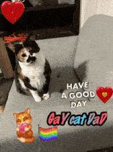 a calico cat sits on a chair with a sticker that says have a good day gay cat dab