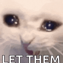 a close up of a white cat 's face with the words `` let them '' written in white letters .