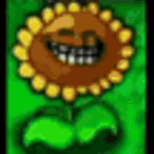 troll troll face sunflower plants vs zombies pv z