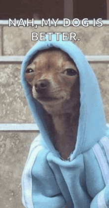 a small dog wearing a blue hoodie with the words nah my dog is better