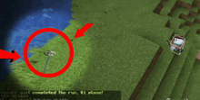 a screenshot of a video game that says doodle just completed the run