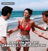 Damn The Jellyfishldamn All The Jellyfishi.Gif GIF - Damn The Jellyfishldamn All The Jellyfishi Person Human GIFs