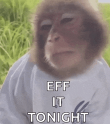a monkey is wearing a white shirt and making a face .