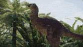 Leaellynasaura Dinosaur GIF - Leaellynasaura Dinosaur Prehistoric Kingdom GIFs