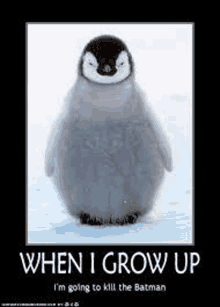 Penguin Memes GIF - Penguin Memes GIFs