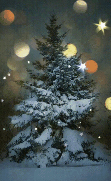 Merry Christmas GIF - Merry Christmas Happy GIFs