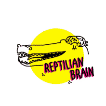 crocodile brain