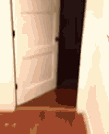 a white door is open to a dark room with a brown floor .