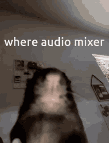 Audio Mixer Windows11 GIF - Audio Mixer Windows11 Rat GIFs