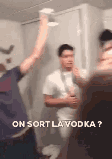Vodka Hands Up GIF - Vodka Hands Up Party GIFs
