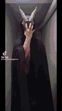 a person wearing a black cape and a mask with horns is standing in a hallway