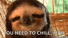 Sloth Relax GIF - Sloth Relax Chill GIFs