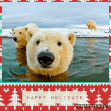 Holiday Bears GIF - Holiday Bears GIFs