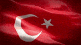 Türk Bayarğı Syx Türk Bayrağı GIF - Türk Bayarğı Syx Türk Bayrağı GIFs