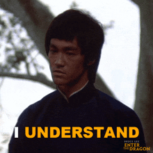 I Understand Lee GIF - I Understand Lee Bruce Lee GIFs