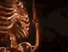 Skeleton Skeleton Smoking Cigar GIF - Skeleton Skeleton Smoking Cigar The Terminator Wins GIFs