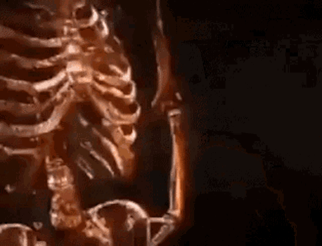 Skeleton Skeleton Smoking Cigar GIF - Skeleton Skeleton Smoking Cigar The  Terminator Wins - Discover & Share GIFs
