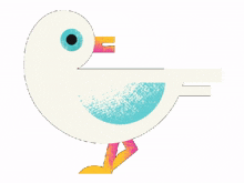 seagull