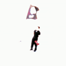 a man wearing sunglasses and a black shirt stands in front of a flag that says ' u.s. ' on it