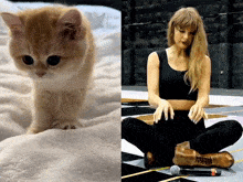 a picture of a kitten next to a picture of taylor swift