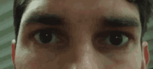 Eyebrows Eyes GIF - Eyebrows Eyes Close Up GIFs